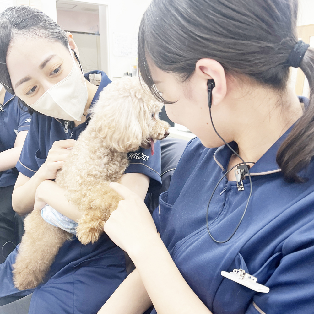 ☆かわいいお客様☆